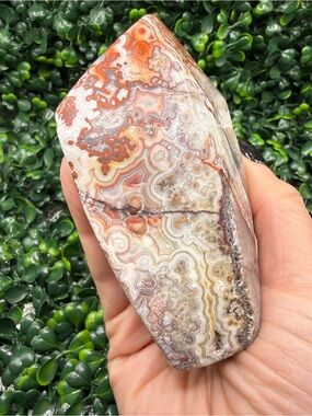 Mexican Crazy Lace Agate Polished Freeform